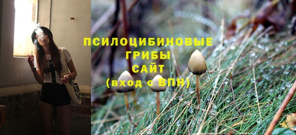 дурь Касимов